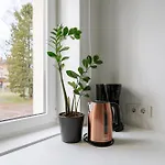 For Friends & Families * Таллінн