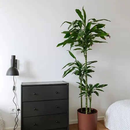 For Friends & Families Apartment