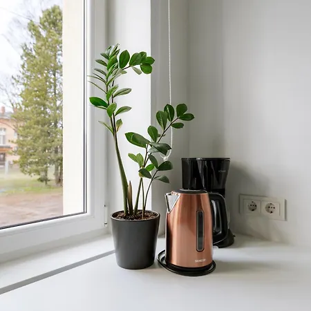 For Friends & Families * 탈린