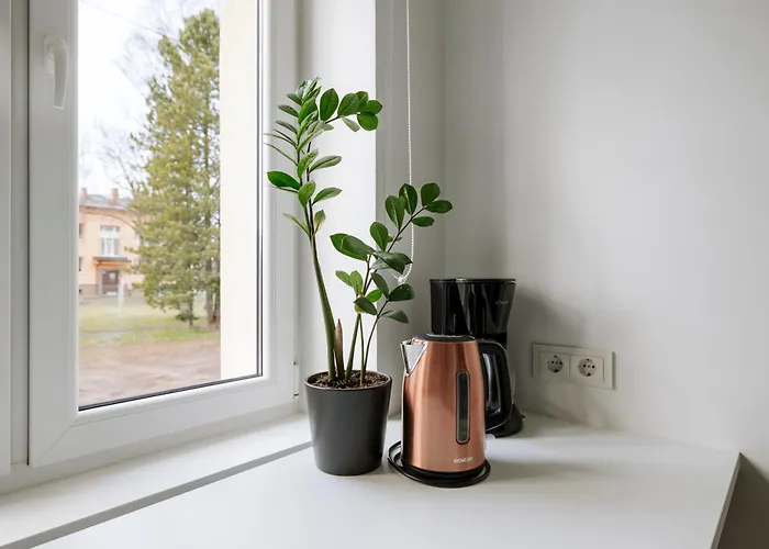 For Friends & Families * 塔林